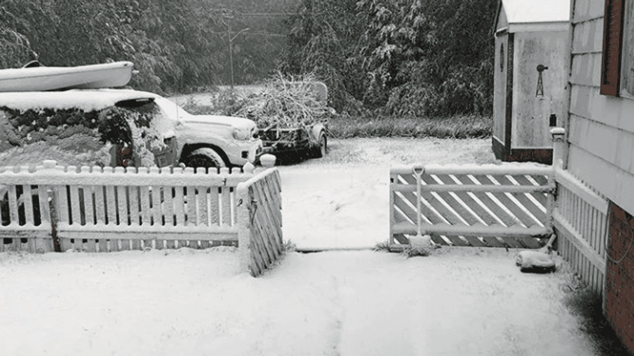 June Snow In Ontario Reached 10cm Deep In Some Northwestern Areas Yesterday