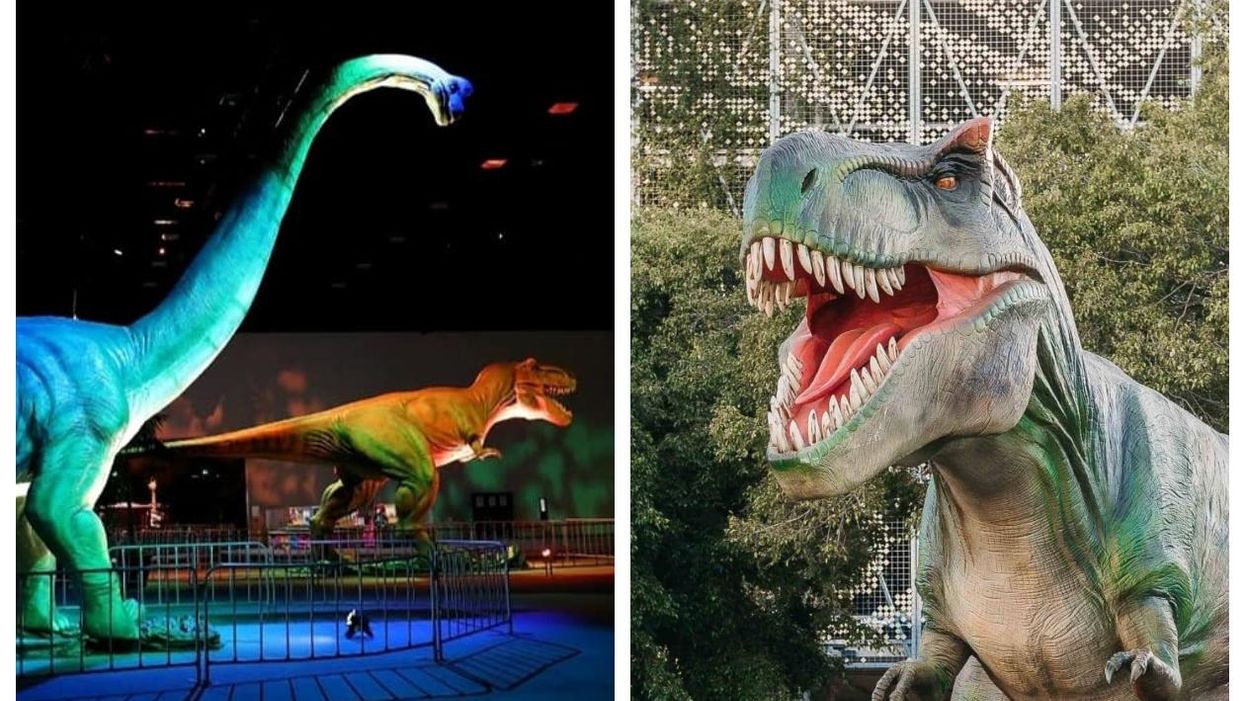 Jurassic Fest débarque à Québec à l'hiver 2021