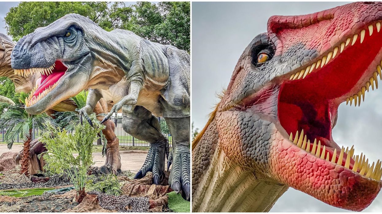 Jurassic Quest Feels Like A Jurassic Park Dinosaur Adventure Coming To Atlanta Metro