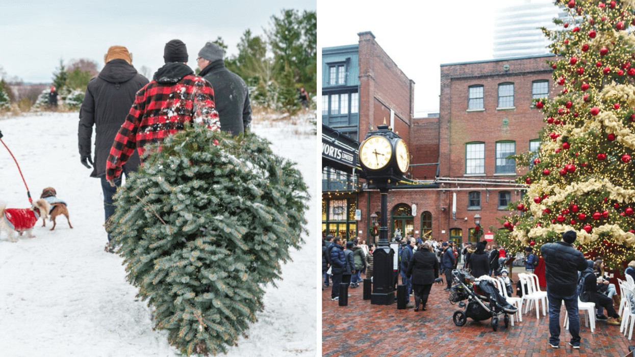 Just Over Half Of Ontario Says They Will Only See Immediate Family This Holiday Season