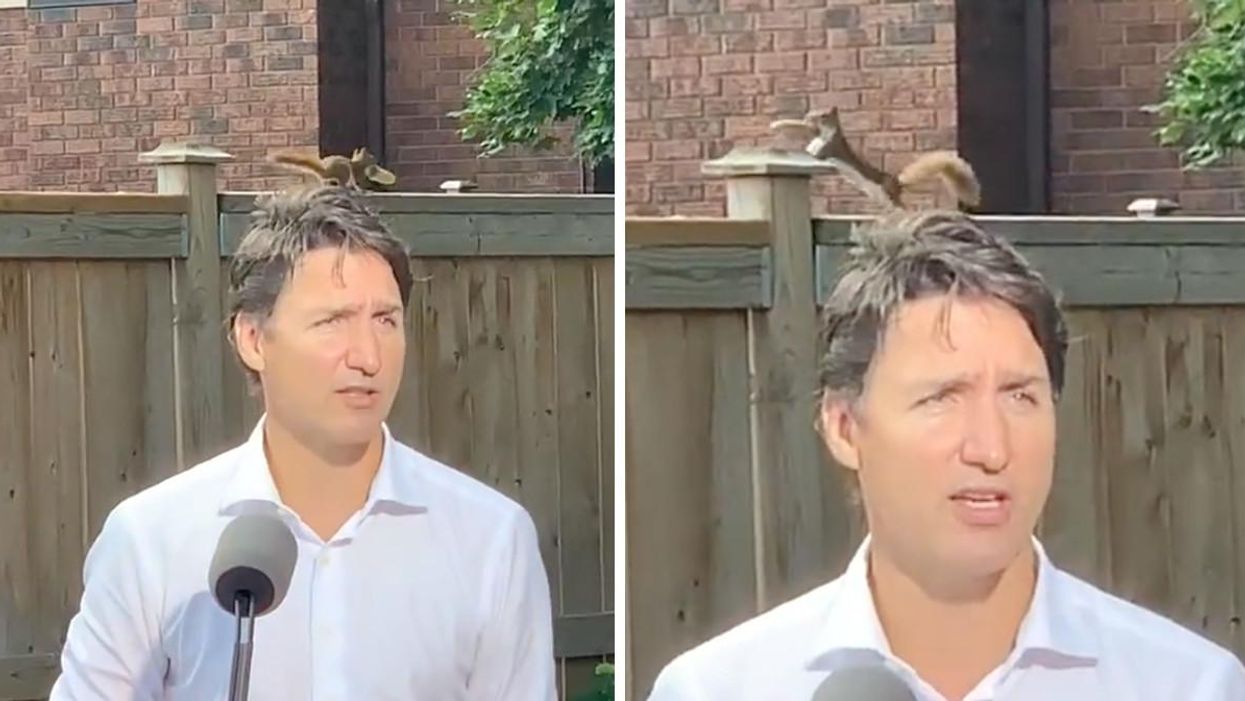 Justin Trudeau's Announcement Was Just Photobombed By A Squirrel & It's Chaotic AF (VIDEO)