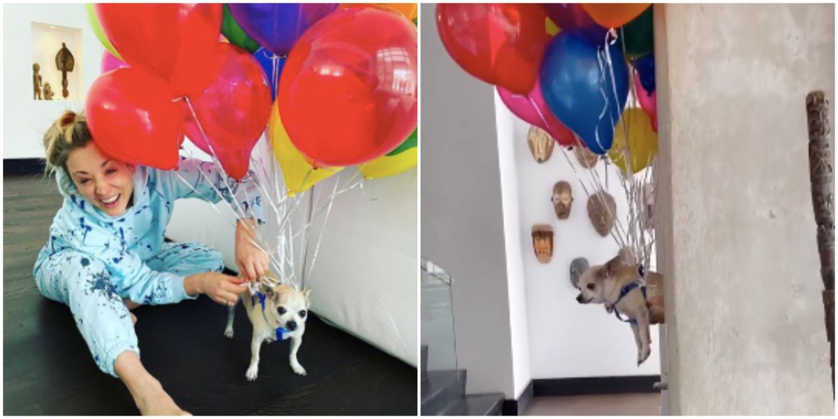 Kaley Cuoco Toronto Quarantine Ends With Her Dog Floating Away On