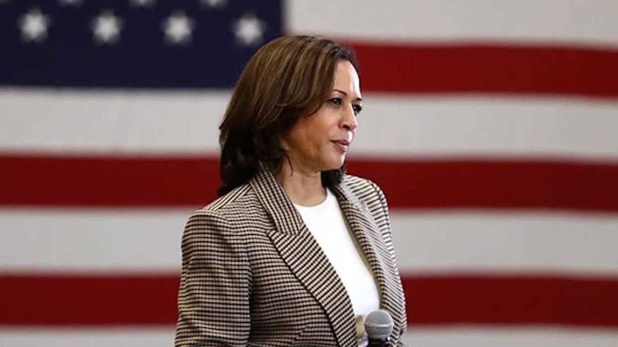Kamala Harris, ex-montréalaise, est le choix de Joe Biden à la vice-présidence américaine