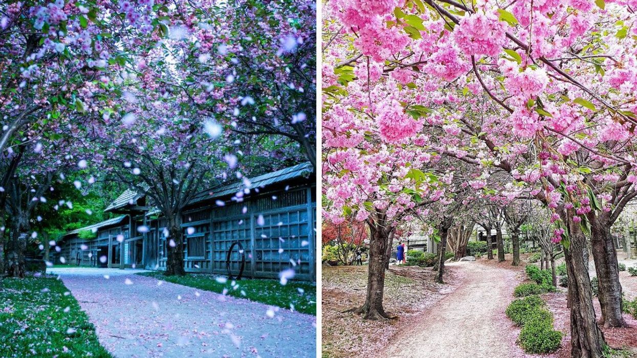 Karıya Park in Mississauga, Ontario.