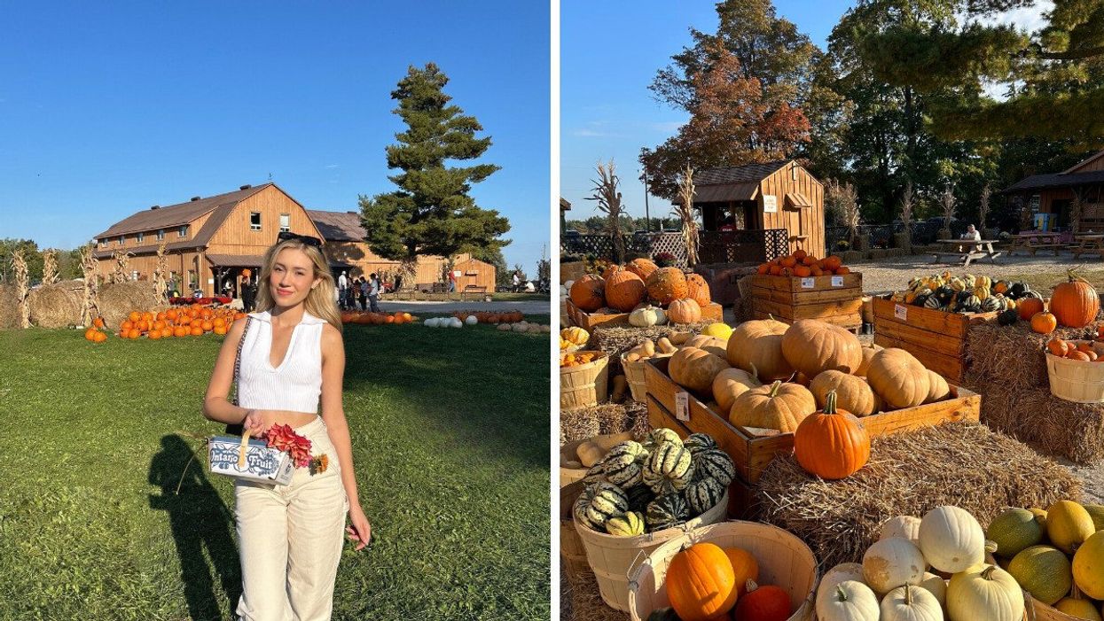Katherine at Andrews Farm in Milton. Right: Pumpkins at the farm.