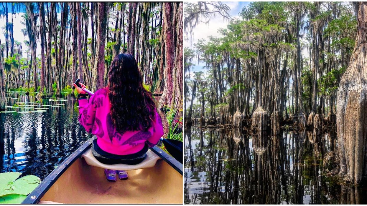 Kayaking In Georgia Banks Lake Paddles You Through An Other Worldly Cypress Swamp