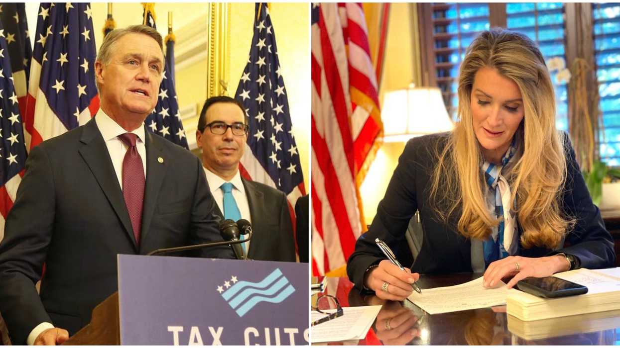 Kelly Loeffler David Perdue Georgia Senate Race