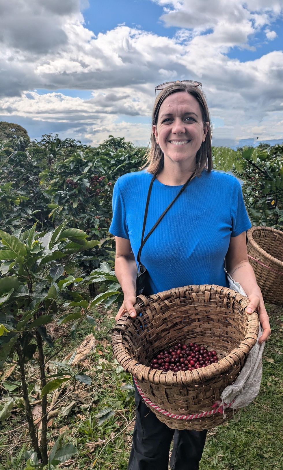 Kelsey Riley holding a basket of freshly picked coffee cherries at Hacienda Alsacia.