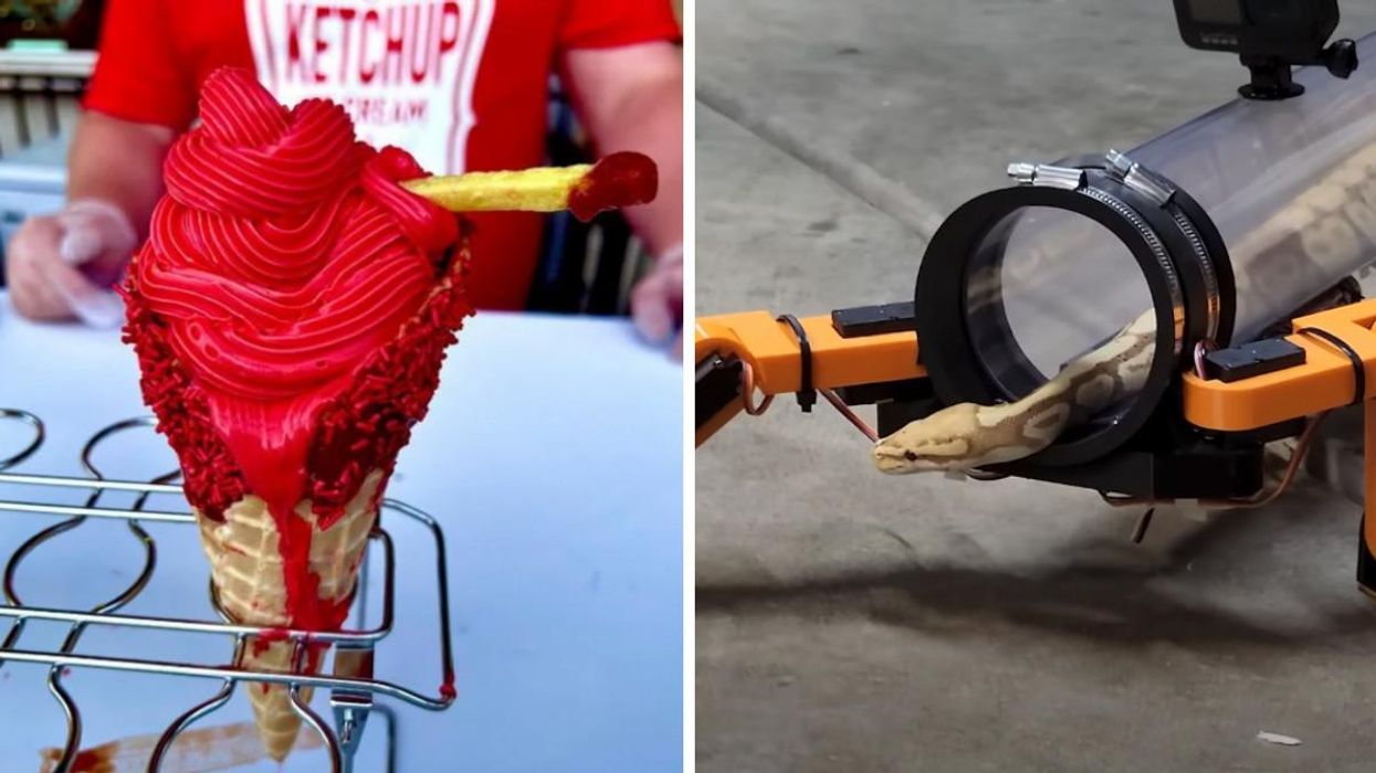 Ketchup ice cream with a fry. Right: A snake with robot legs, because 'Jurassic Park' taught us nothing.