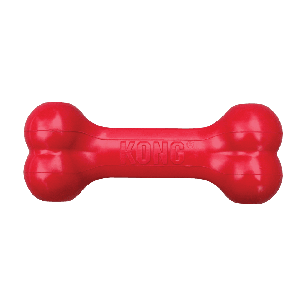 KONG Rubber Bone Toy