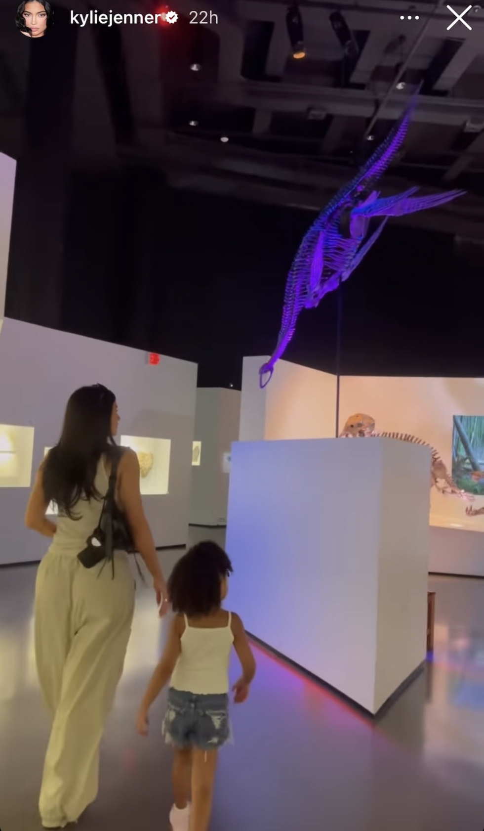 Kylie Jenner's Instagram story showing her and Stormi Webster walking through the Morian Hall of Paleontology.