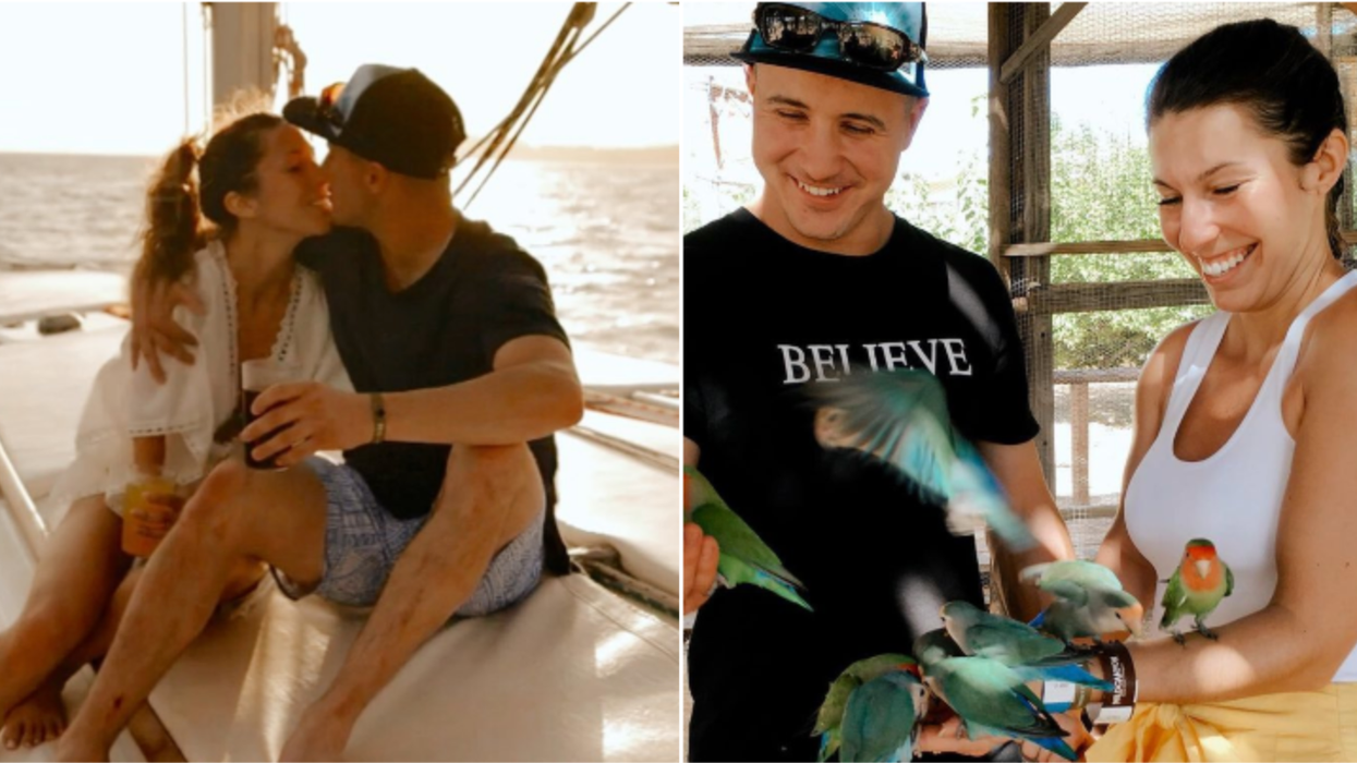 L'amour est dans le pré 8