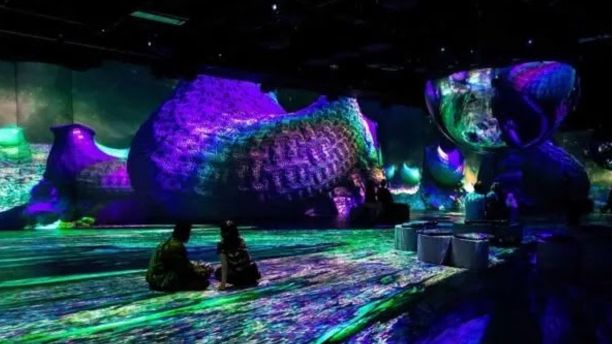 L'exposition Apesanteur d'Oasis Immersion.