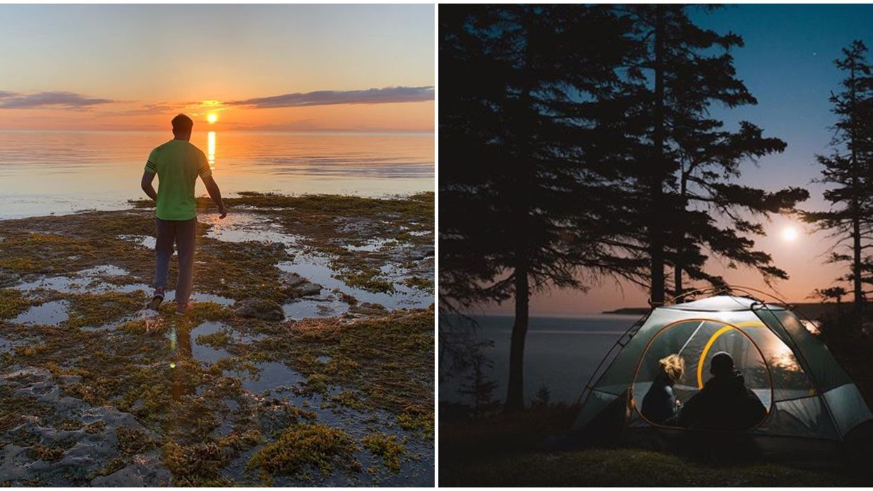 L'île d'Anticosti sur la Côte-Nord est une véritable destination de rêve au Québec