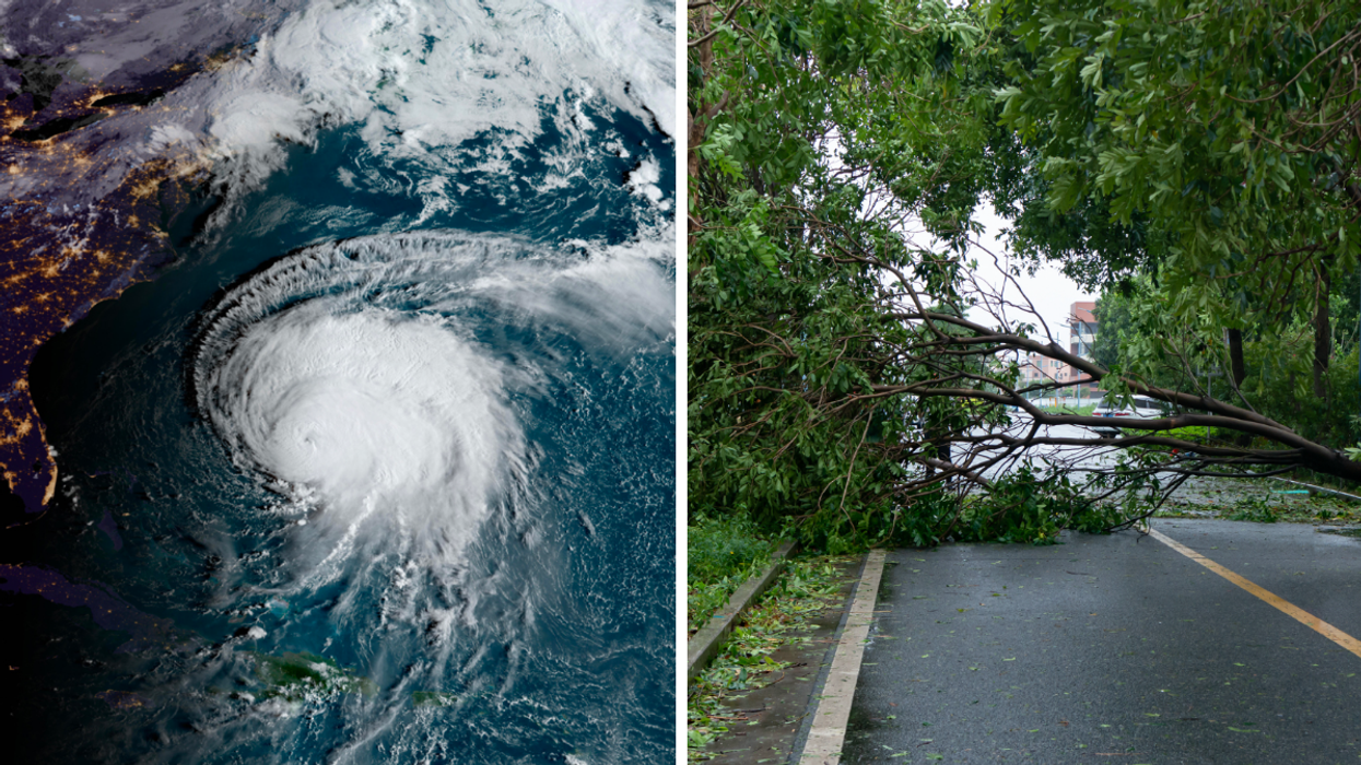 L'ouragan Fiona. Droite : Des arbres sur la route.