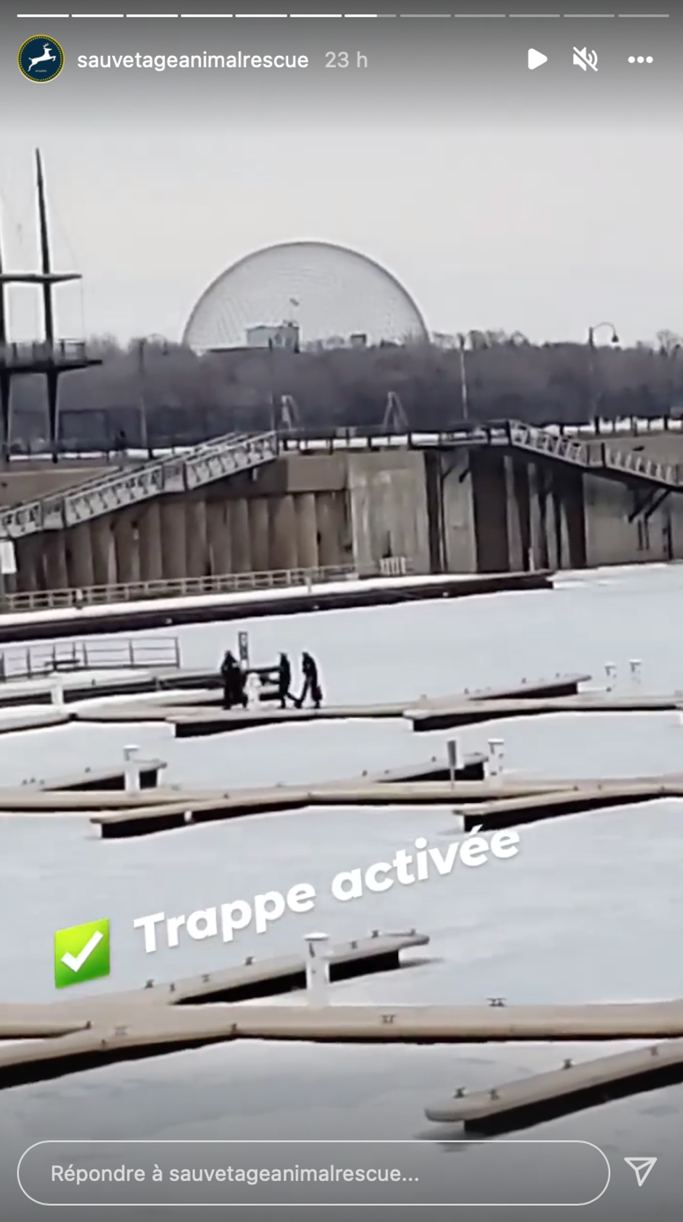 L'\u00e9quipe de Sauvetage Animal Rescue sur la glace.