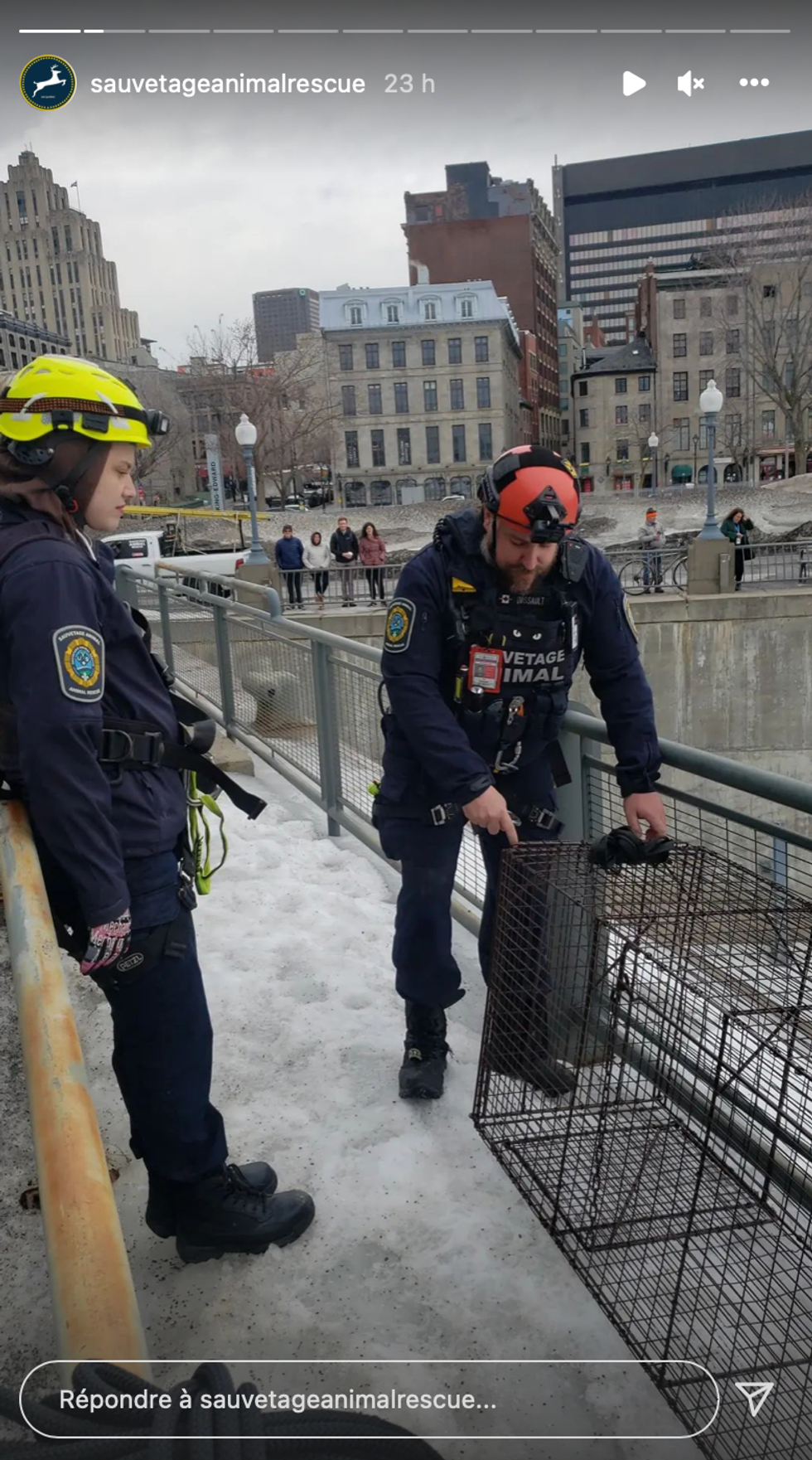 L'\u00e9quipe de Sauvetage Animal Rescue.