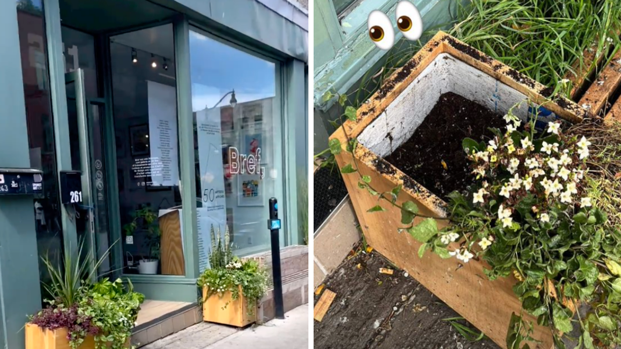 La boutique Bref à Montréal.