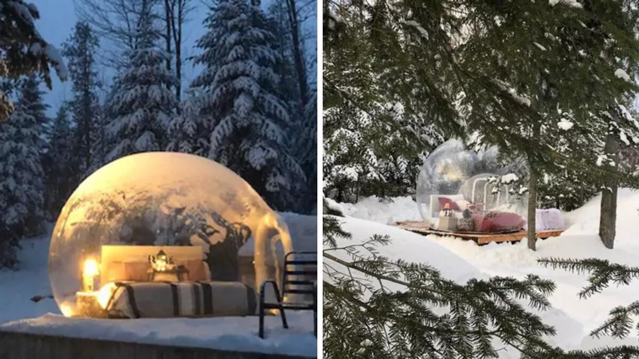 La bulle à louer dans le parc Cavaland.