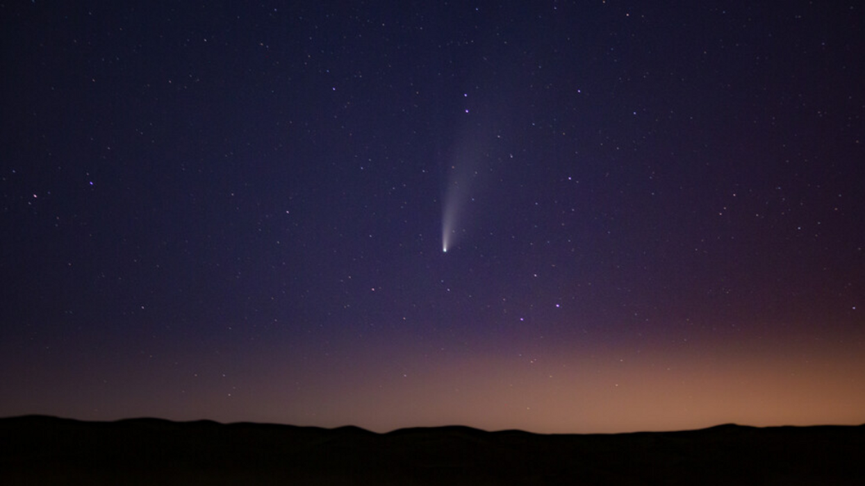 La comète NEOWISE.
