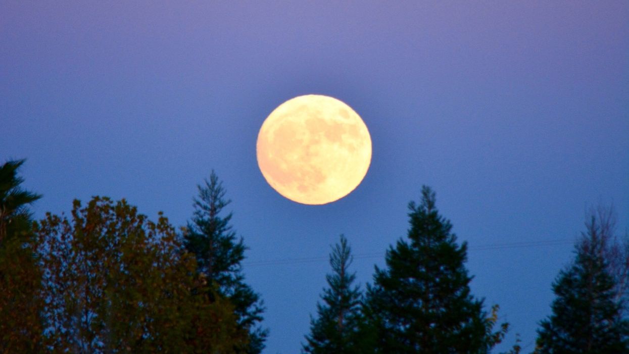 La Derniere Super Lune De A Lieu Cette Semaine Au Quebec Narcity La Derniere Super Lune De A Lieu Cette Semaine Au Quebec Narcity