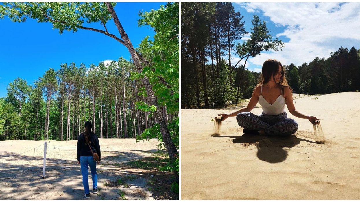 La forêt de Pinhey cache des dunes de sable au coeur d’Ottawa
