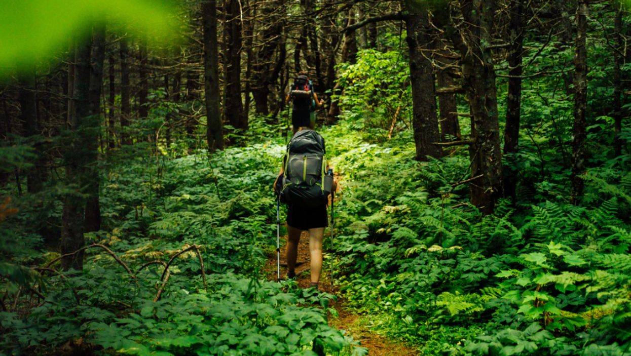La maladie de Lyme en hausse dans certaines régions du Québec et voici comment l'éviter