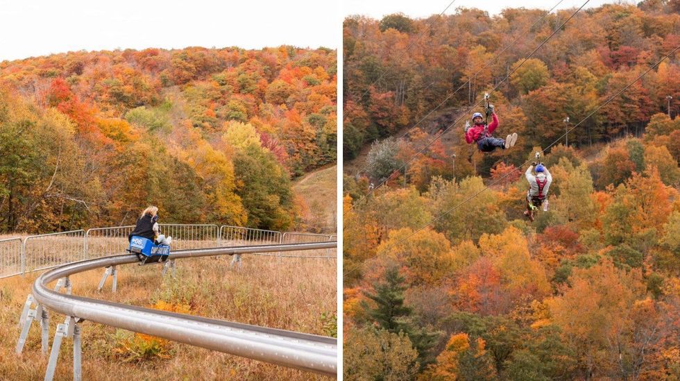 La montage russe dans les bois. Droite : La tyrolienne pendant les couleurs d'automne.