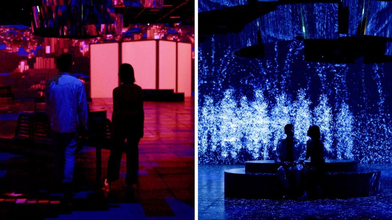 La nouvelle exposition d'OASIS Immersion à Montréal.