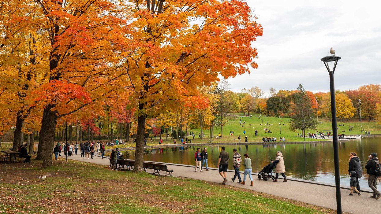 La parc du mon Royal, à Montréal, l'automne.