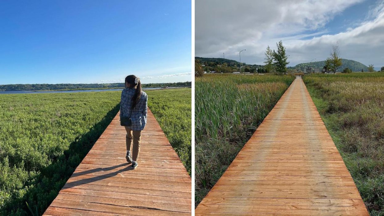 La passerelle des Battures de Saint-Fulgence.