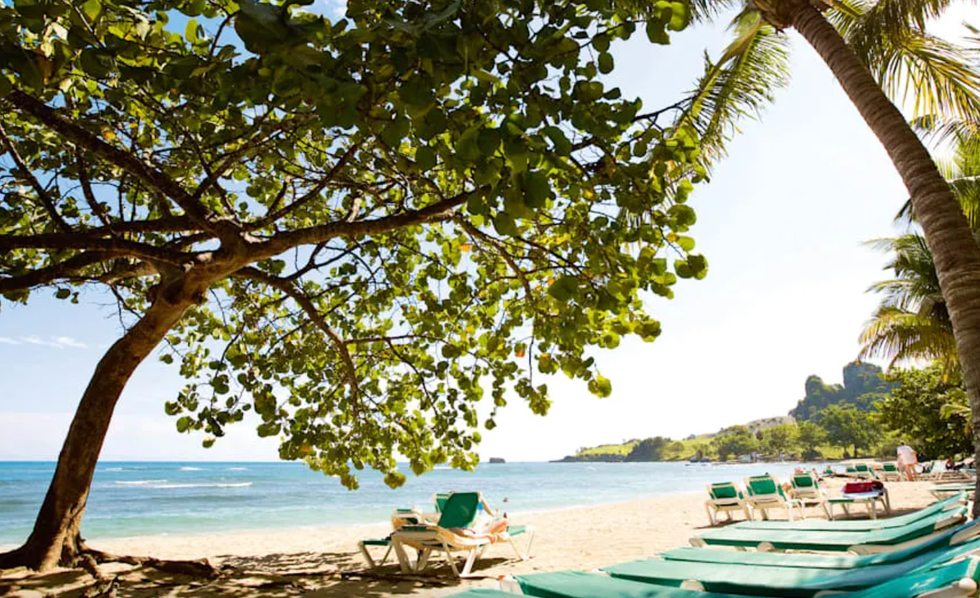 La plage avec arbres et chaises longues du Playabachata Spa Resort en R\u00e9publique dominicaine.