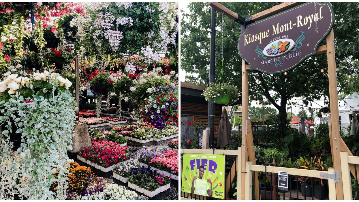 La Ville de Montréal offre des carte-cadeaux de 10 $ dans les marchés publics