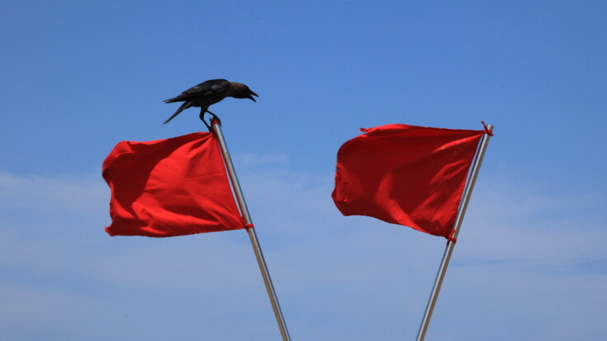 La Ville de Montréal utilise les « red flags », mais se fait roaster en retour