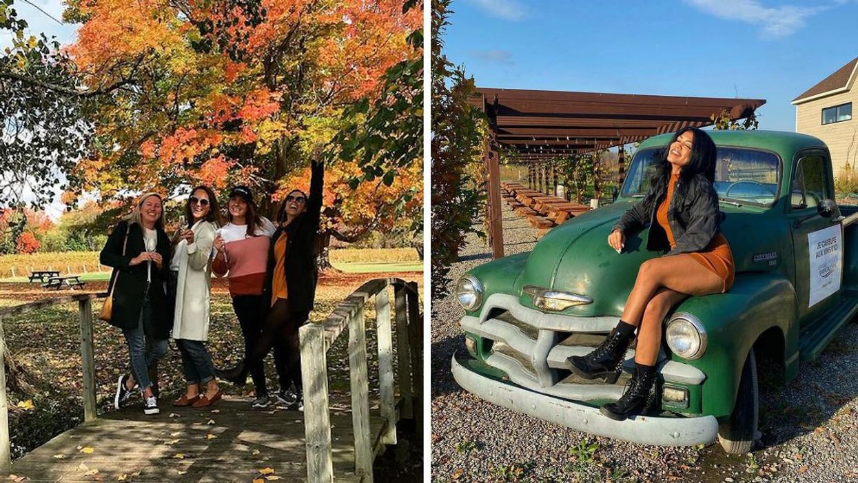 La virée ultime des vignobles au Québec à faire avec ta personne pour seulement 35 $