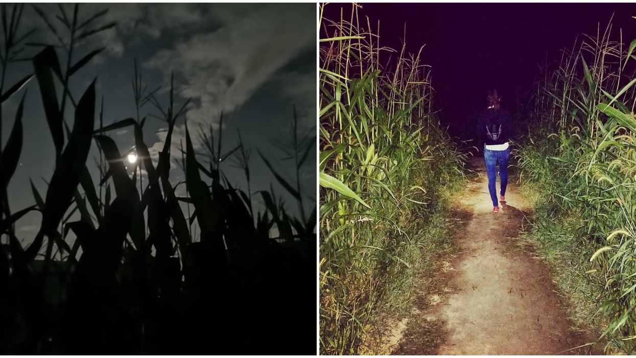 Labyrinthe de nuit près de Montréal où tu pourras te perdre dans 8 km de sentiers en août