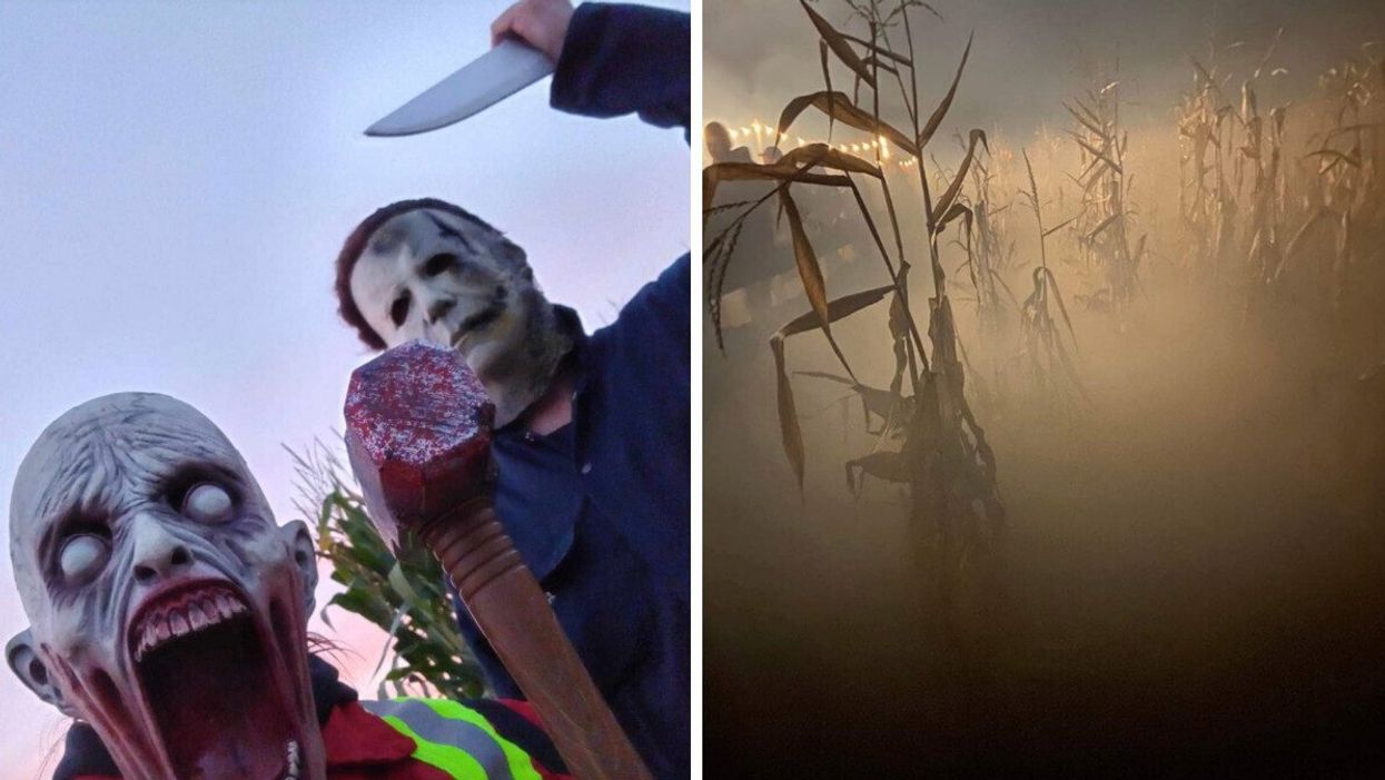 Labyrinthe hanté de nuit à la Fraisière Lauzon & fils.