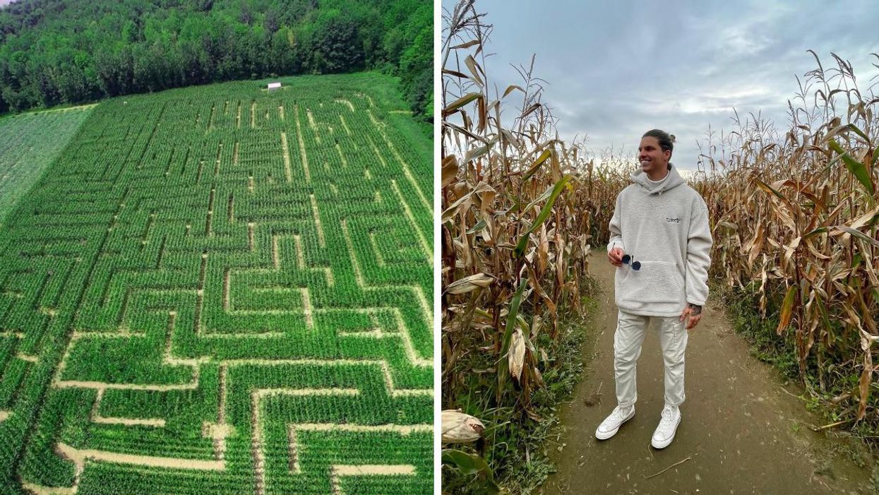 Labyrinthe Verger Labonté. Droite : Jeune homme dans un labyrinthe.