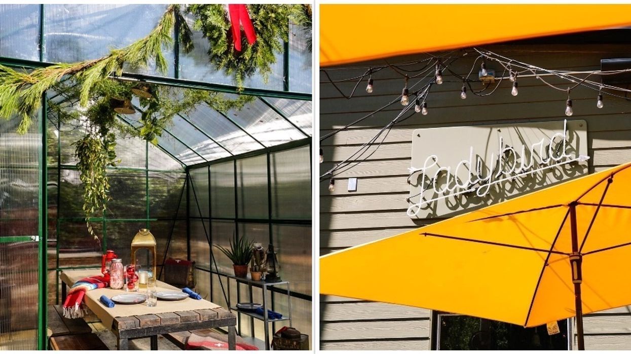 Ladybird Grove & Mess Hall Atlanta Georgia Greenhouses Holiday