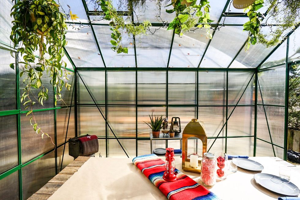 Ladybird Grove & Mess Hall Atlanta Georgia Greenhouses Holiday