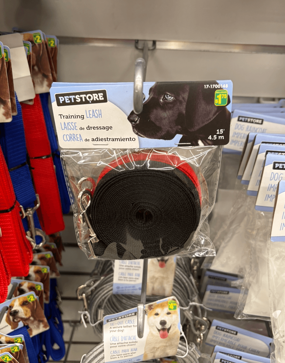Laisse de dressage sur les \u00e9tag\u00e8res du Dollarama.