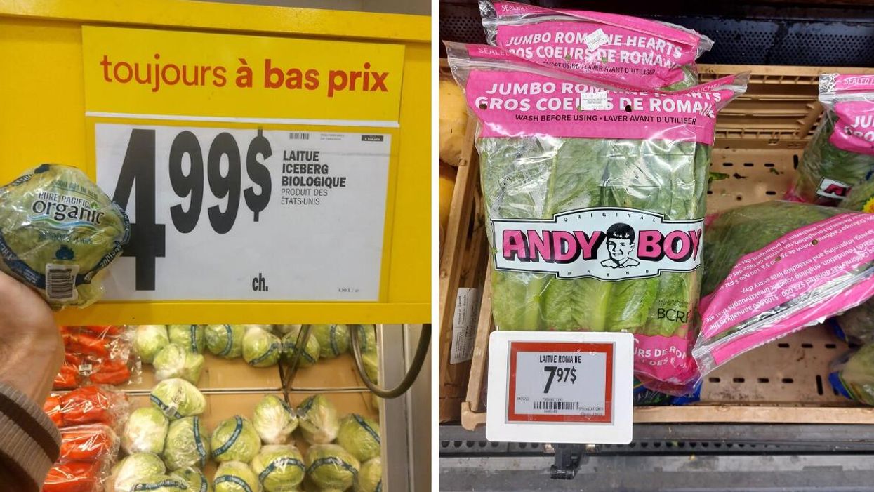 Laitue au Super C. Droite : Laitue au Walmart.