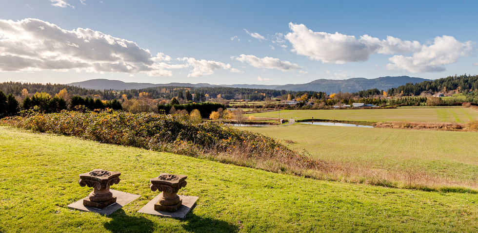 Land surrounding the home.