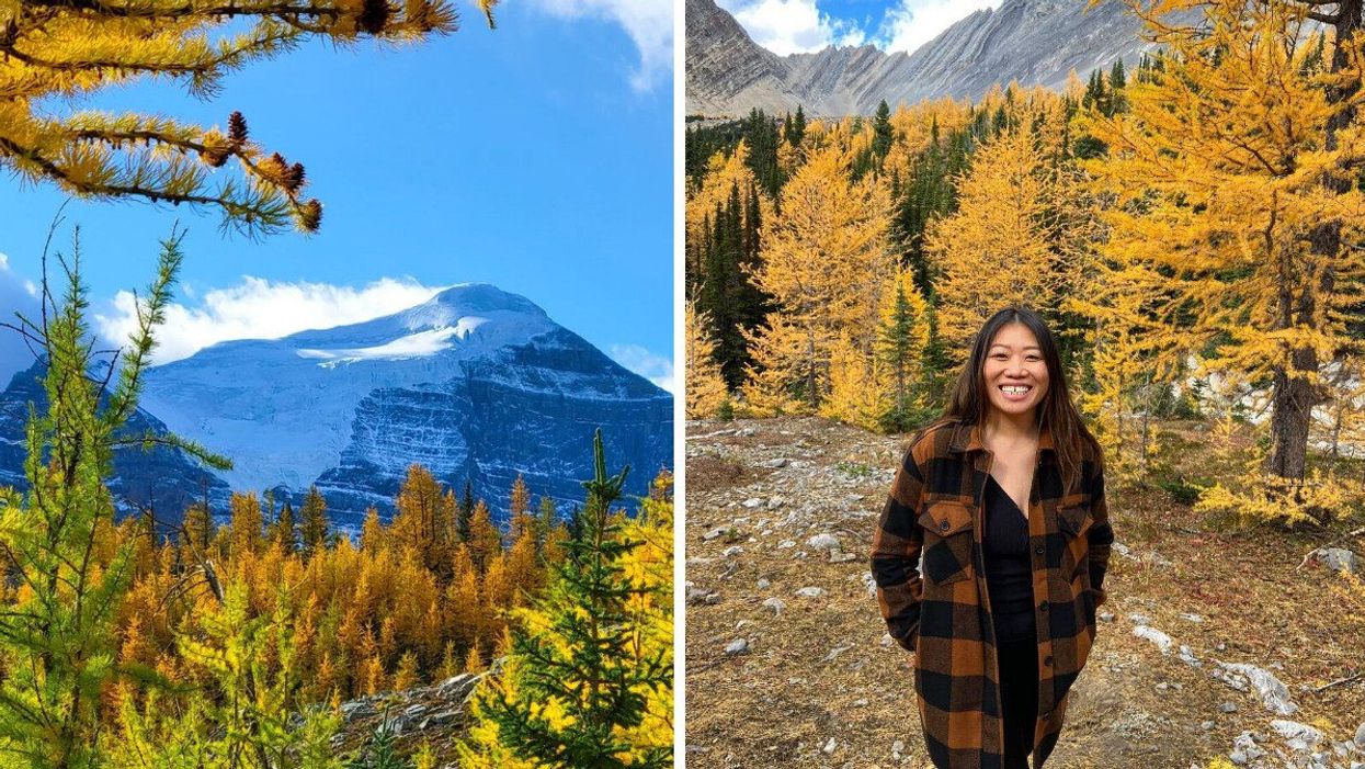 Larch trees with mountain in background. Right: Smiling person by larch trees.