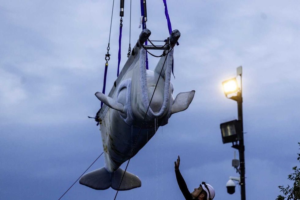 Last Marineland whales leave Canada