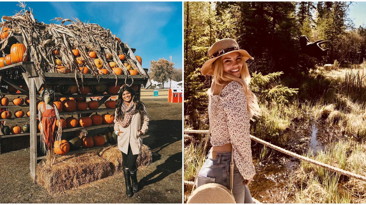 Last-Minute Fall Road Trips From Edmonton That Are Less Than 3 Hours Away