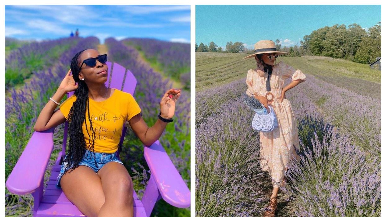 Lavender Farms Near Toronto That Will Take You To Purple Paradise