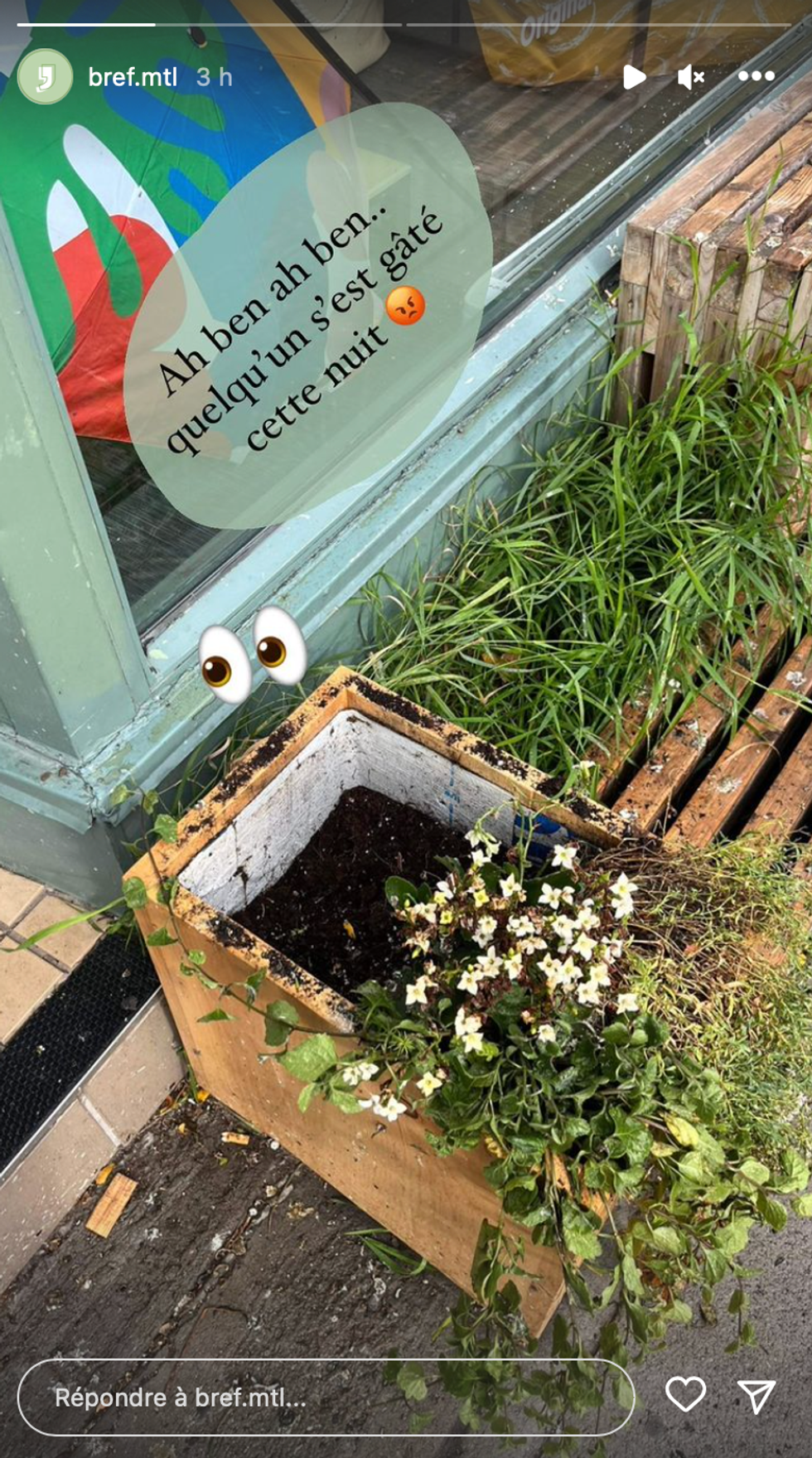 Le bac \u00e0 fleurs de Bref avec un plant manquant.