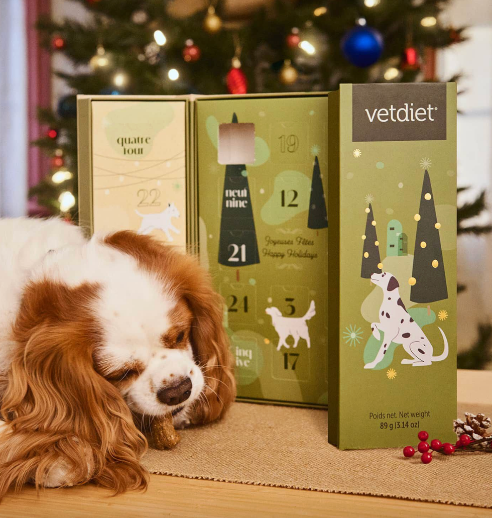 Le Calendrier de l'avent pour chiens Vetdiet.