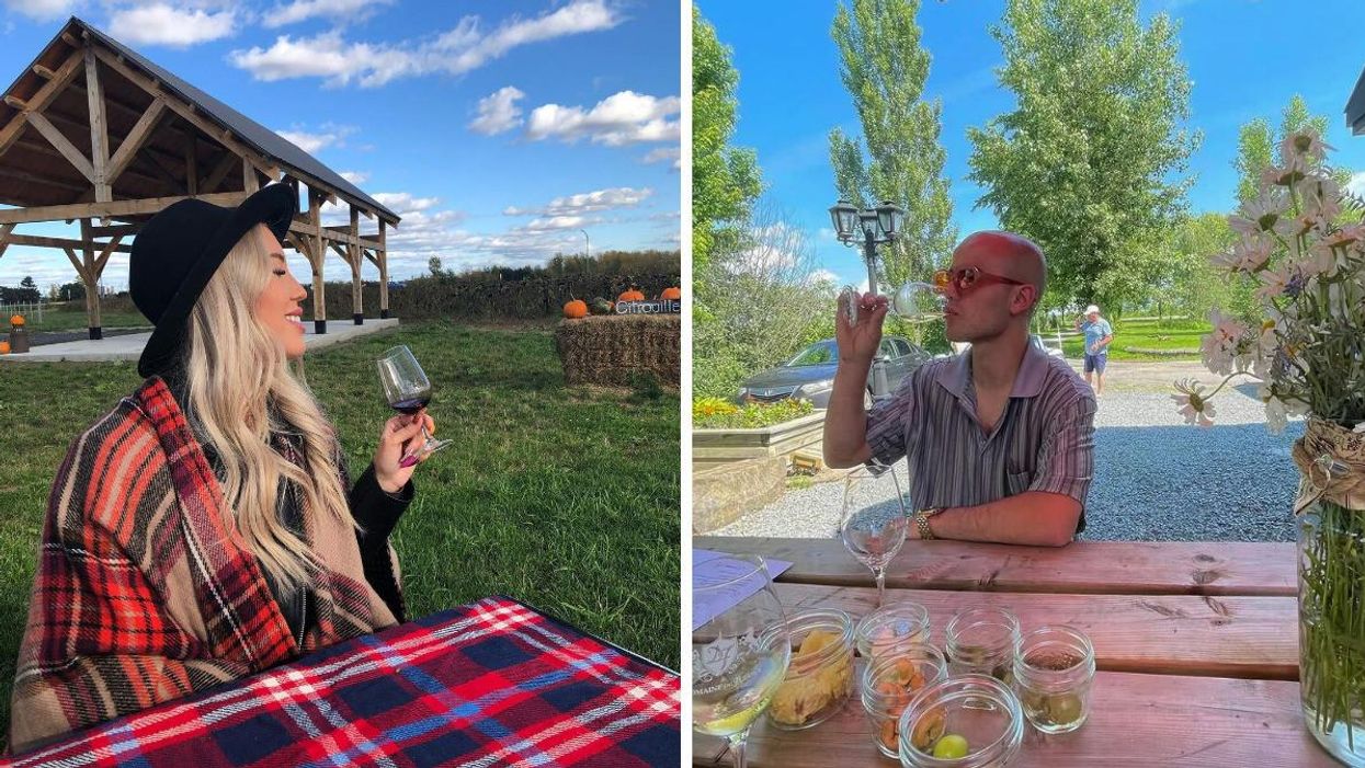 Le Domaine Vinēterra. Droite : Le vignoble Domaine Du Fleuve.